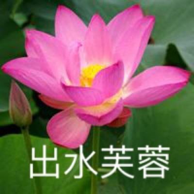 时之勇者蒸汽朋克手游下载